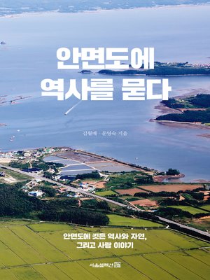 cover image of 안면도에 역사를 묻다